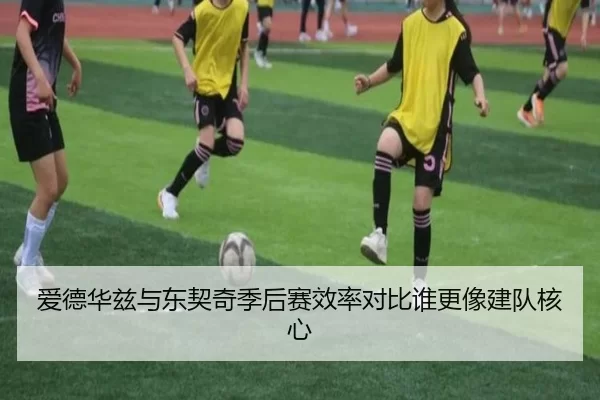 爱德华兹与东契奇季后赛效率对比谁更像建队核心